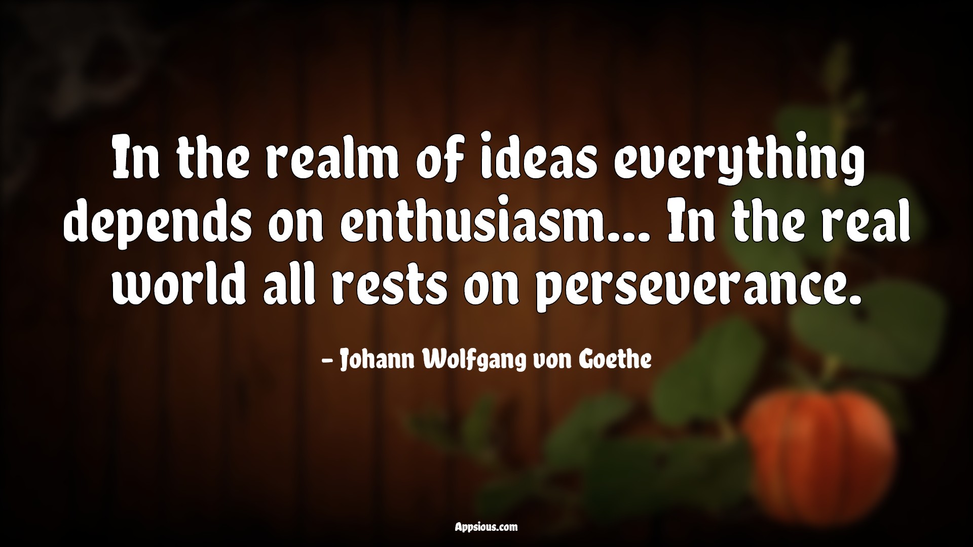 In the realm of ideas everything depends on enthusiasm... In the real